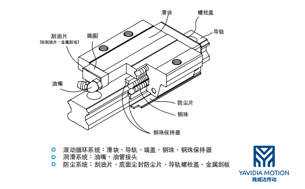 滾珠直線午夜小电影在线观看